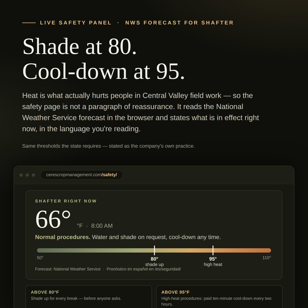 The live heat-safety panel: current Shafter conditions against the 80° shade and 95° high-heat thresholds